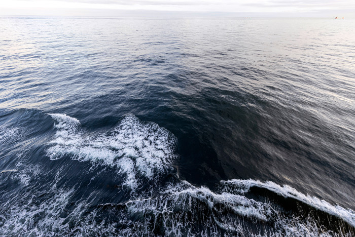 Hapag-Lloyd Guayaquil Express